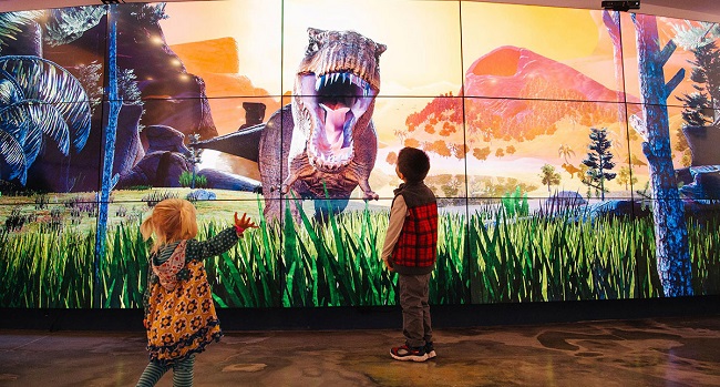 Wyrestorm SW-0206-VW, парки развлечений