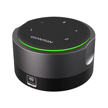 Gonsin MIC-RA08 Model O