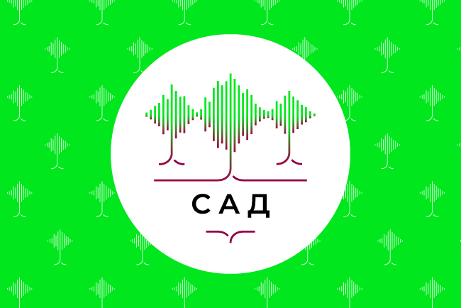 Студия акустического дизайна компании Хай-Тек Медиа Студия акустического дизайна компании Хай-Тек Медиа